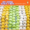 삼생정보화마을 | 홍천 삼생 마을 상군두리 비건 만두 먹고 한 살 더 먹었어요