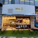 마일로광안리오션 | 부산 광안리 카페추천 카페마일로 오션테라스수변공원점 방문기