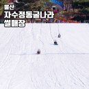 광산구-052 | 자수정동굴나라 썰매장 놀이기구 울산 겨울 아이와 가볼만한곳