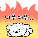 (주)네이처풀