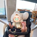 화랑대역7번출구 맞은편 | 화랑대역 맛집 정가네 코다리 부모님 모시고 가기 괜찮을까?