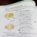 3권 19장 발생학 30p bicoid, nanos mRNA 이미지