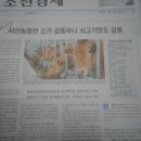정자현대동물병원 이미지