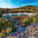 성남대로1518번길 이미지