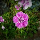 정상화행정사사무소 이미지