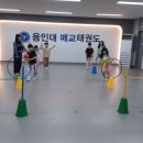 용인대 팔달 태권도장 이미지