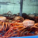 (주)씨푸드락 이미지