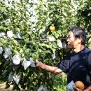 천주농장 이미지