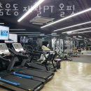 토니모리빌딩 | 서초동 헬스장 맞춤운동 재활PT 올핏 가격