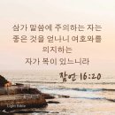 드림카정비 이미지