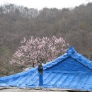 석읍리 이미지