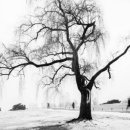 머무르다 이미지