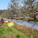 인주면 행정복지센터 이미지
