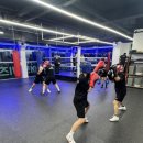 엘리트복싱체육관 이미지