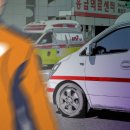 고기남녀
