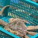 진주네맛집 이미지