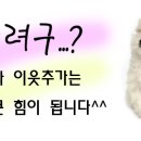 길성목장 이미지
