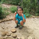 초안산 유아숲체험장 이미지