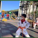 거제소나무향기 태권도장 이미지