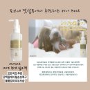 토브 펫 살롱 이미지