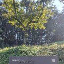 해월암 | 임실[천년고찰]. Imsil Haewolam Temple. 해월암