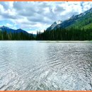 대한이화학 이미지