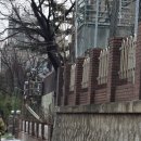 성광교회 인근 인천투데이