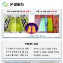피그텔 이미지