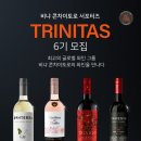 트리니타스 이미지