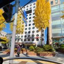 와세다의원 이미지