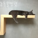 아람 동물병원 이미지