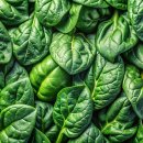 시금치 이미지