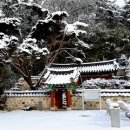 양씨삼강문 이미지