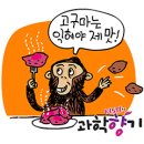 인공지능이 말을 걸어온다면. 메르스 사후약방문. 목욕탕의 탕-카타르시스형 사물. 세상에서 가장 위대한 방정식은? 야생 침팬지의 냉장고를 부탁해 이미지