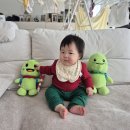 283 | [육아일기] D+283~D+289 / 9개월 아기 / 후기이유식 이분이이분 / 이유식전쟁