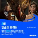 웨이브앤바이브 이미지