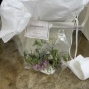 WEDDING 기록 10 _ 제주 웨딩스냅 어벤져스 ⎡에테르의바다, 포레스트랩 VERY 추천!🤵🏼‍♂️👰🏼‍♀️📷🎥🎇⎦