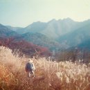 구룡암 Daum카페