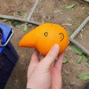 철이농장 이미지