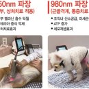 와이비 메디컬 | [신제품] Dual 파장 고출력 동물병원 다이오드 레이저 치료기 P1 Plus