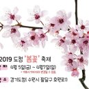 [도로]수원초등학교 앞 이미지
