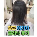 [수원] 광교 아브뉴프랑 미용실 이가자 헤어비스 시세이도 클리닉 후기