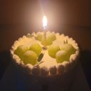 유성A | [대전 유성 수제 케이크] 제이델링 샤인머스캣 홀케이크 후기