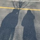 바우로스터리카페 이미지