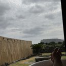 안녕댕댕쓰 | [2026 여름휴가] 제주 4일차 | 동화마을에서 몽생이샌드 픽업, 콩콩팜팜 건준목장 요거트, 비밀의 숲...