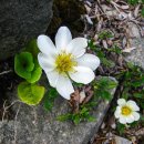 고산지 이미지
