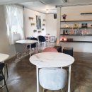 마론애견 이미지