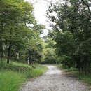 사평자연휴양림 네이버블로그