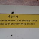 왕자수견태실비 (태봉석비) | 태봉석비