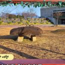 매산105 네이버블로그
